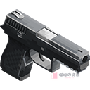 P250