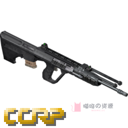 斯泰尔 | AUGA3 DMR