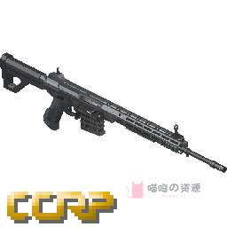 CS/LR 44 精确射手步枪