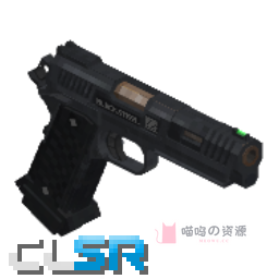 STI 2011